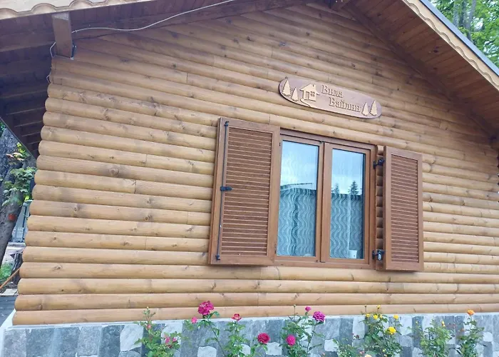 Hébergement de vacances вайлин